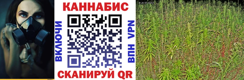 Где купить Костомукша Галлюциногенные грибы ЭКСТАЗИ Гашиш Alpha-PVP МЕФ