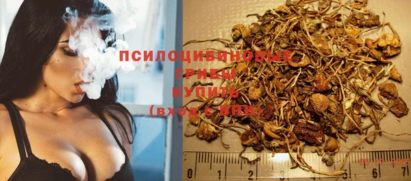 MDMA Няндома