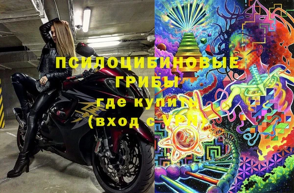 дмт Нязепетровск