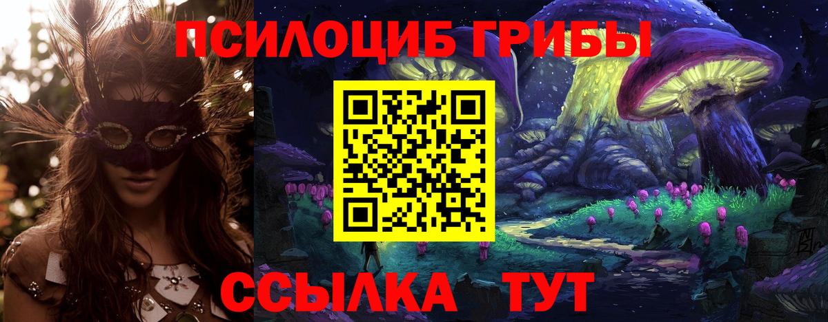 Галлюциногенные грибы мухоморы Костомукша