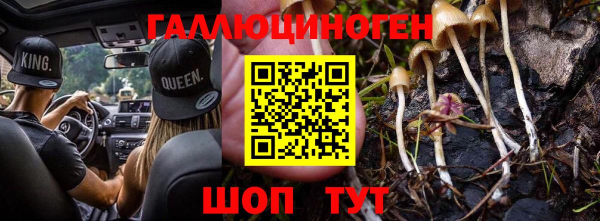 Галлюциногенные грибы мицелий  Вход с VPN  Костомукша 